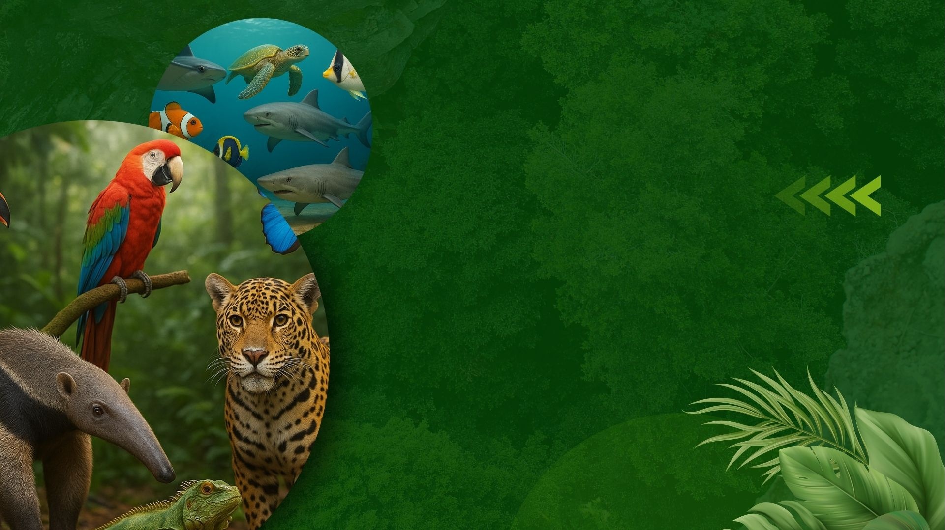 VI Congresso Brasileiro de Biodiversidade