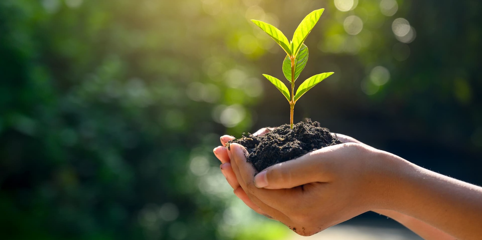 VI Congresso Nacional de Conservação e Educação Ambiental